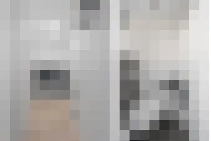 Einsteindreef 25 C Utrecht thumbnail 33