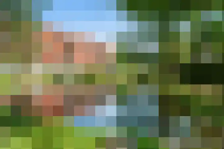 Einsteindreef 25 C Utrecht thumbnail 41