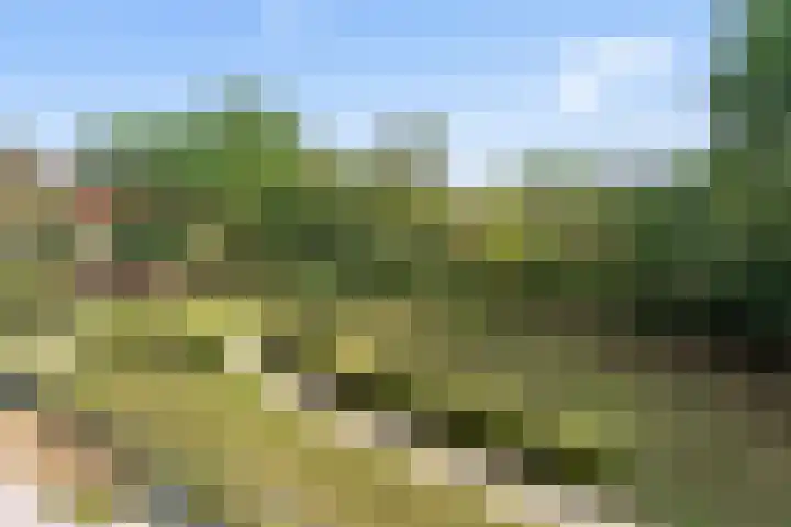 Einsteindreef 25 C Utrecht thumbnail 42