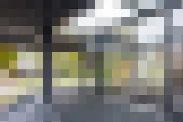 Einsteindreef 45 C Utrecht thumbnail 44