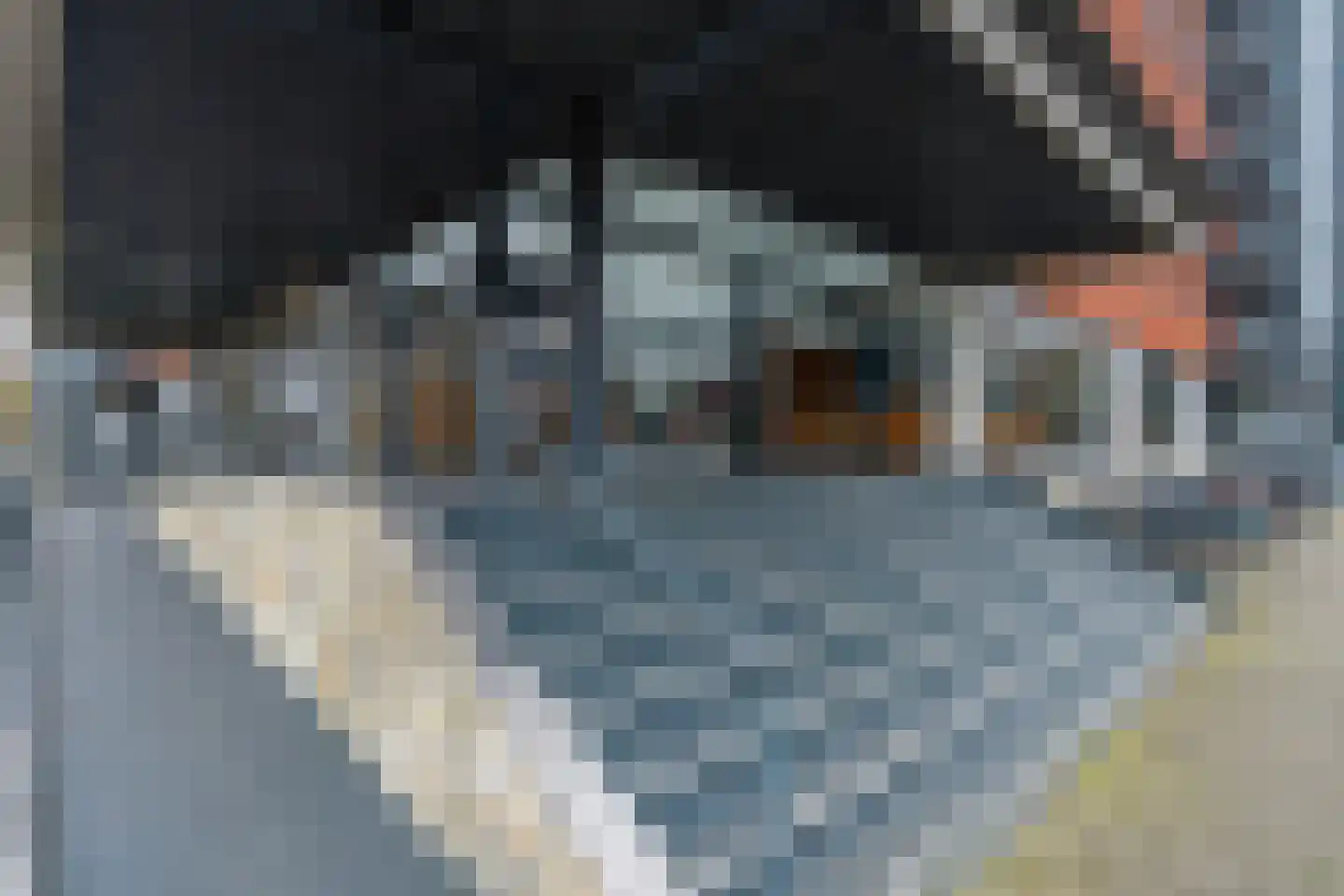 Einsteindreef 49 A Utrecht thumbnail 11