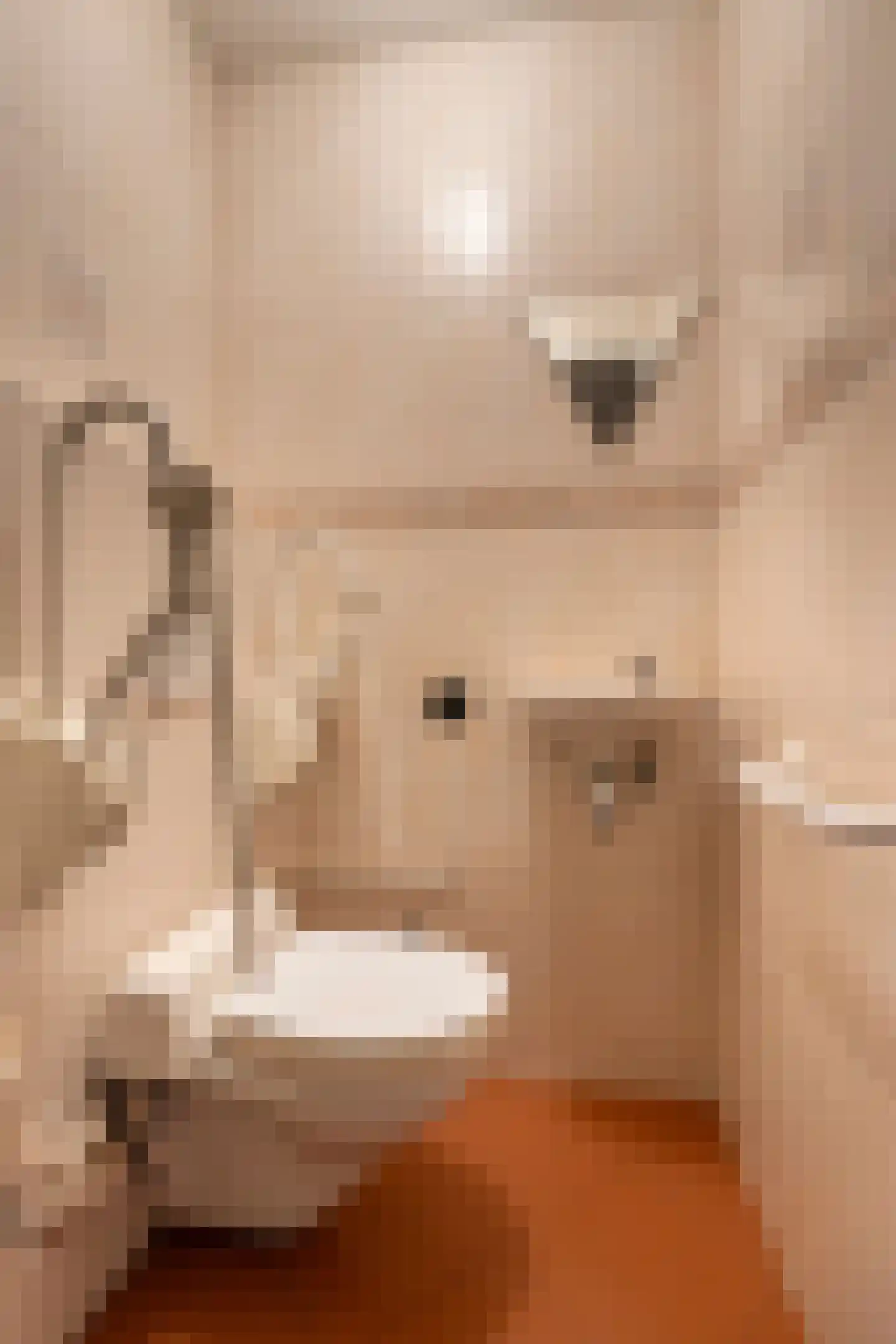Einsteindreef 49 A Utrecht thumbnail 38