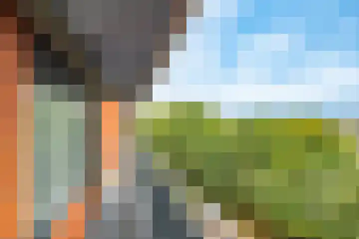 Einsteindreef 53 Utrecht thumbnail 31