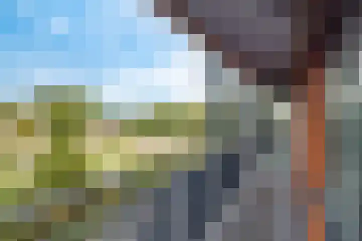 Einsteindreef 53 Utrecht thumbnail 32