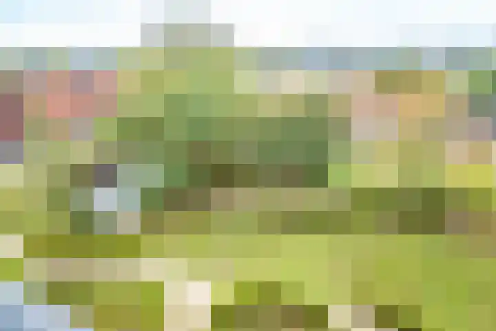 Einsteindreef 53 Utrecht thumbnail 33