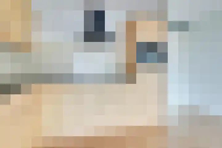 Einsteindreef 53 Utrecht thumbnail 8