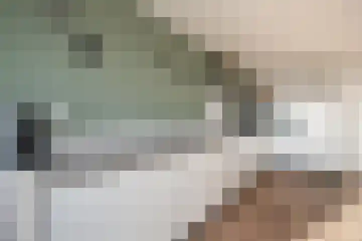 Einsteindreef 61 C Utrecht thumbnail 17