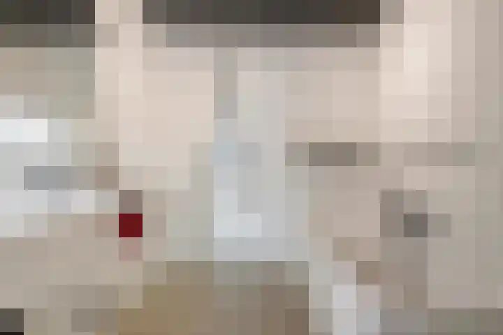 Einsteindreef 61 C Utrecht thumbnail 22