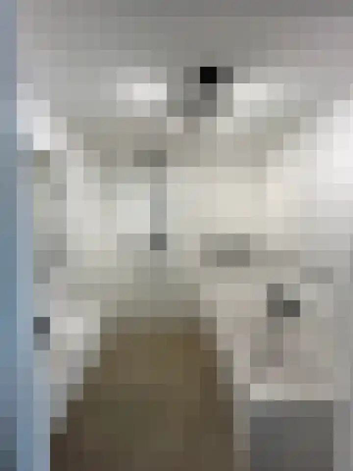 Einsteindreef 61 C Utrecht thumbnail 24