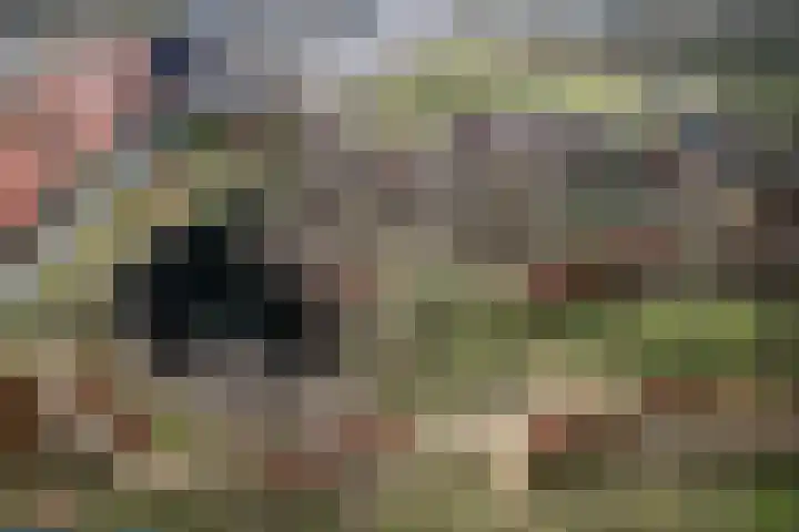 Einsteindreef 61 C Utrecht thumbnail 29