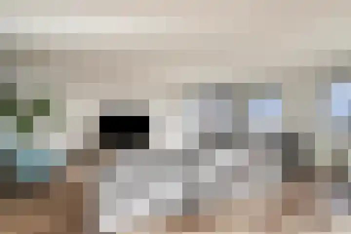 Einsteindreef 61 C Utrecht thumbnail 8