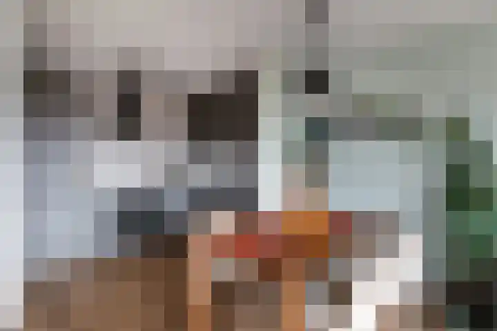 Einsteindreef 71 A Utrecht thumbnail 12