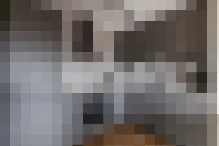 Einsteindreef 71 A Utrecht thumbnail 13