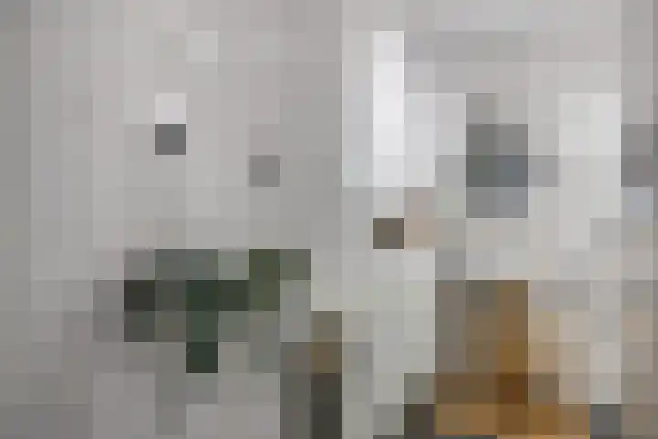 Einsteindreef 71 A Utrecht thumbnail 14