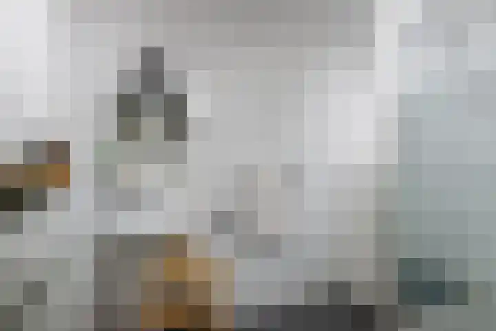 Einsteindreef 71 A Utrecht thumbnail 15