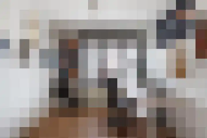 Einsteindreef 71 A Utrecht thumbnail 18