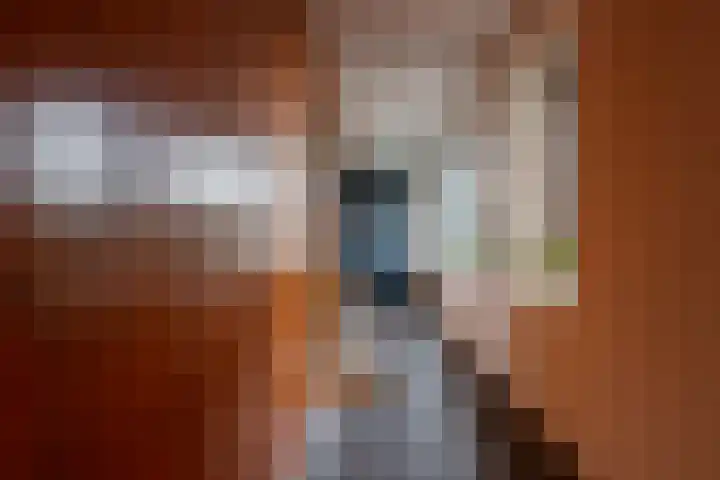 Einsteindreef 71 A Utrecht thumbnail 6