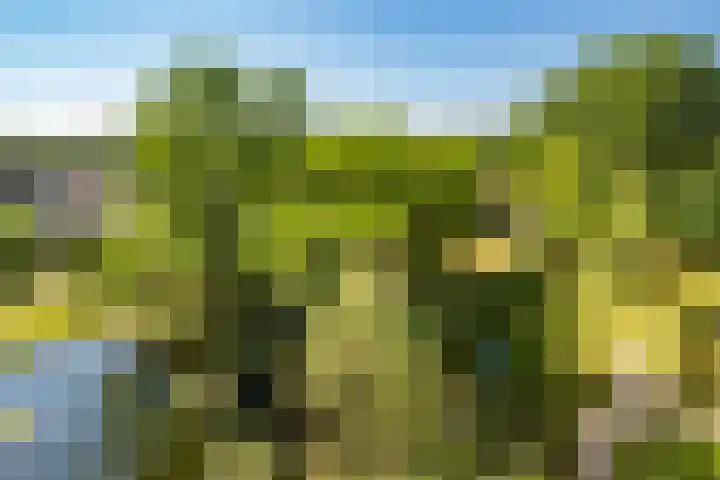 Einsteindreef 73 Utrecht thumbnail 10