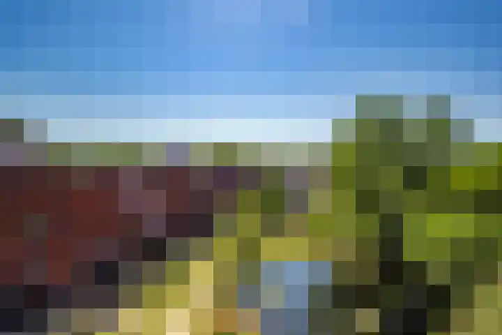 Einsteindreef 73 Utrecht thumbnail 11