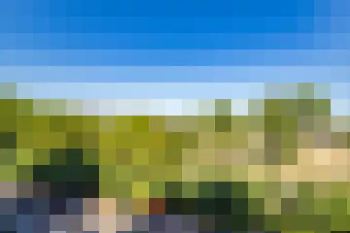 Einsteindreef 73 Utrecht thumbnail 34