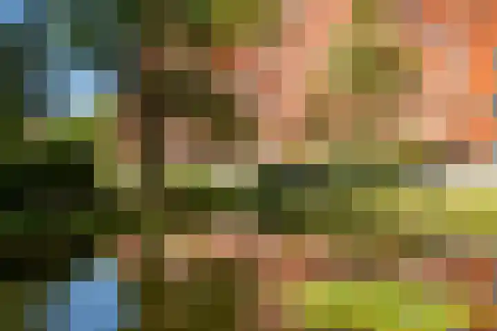 Einsteindreef 73 Utrecht thumbnail 38