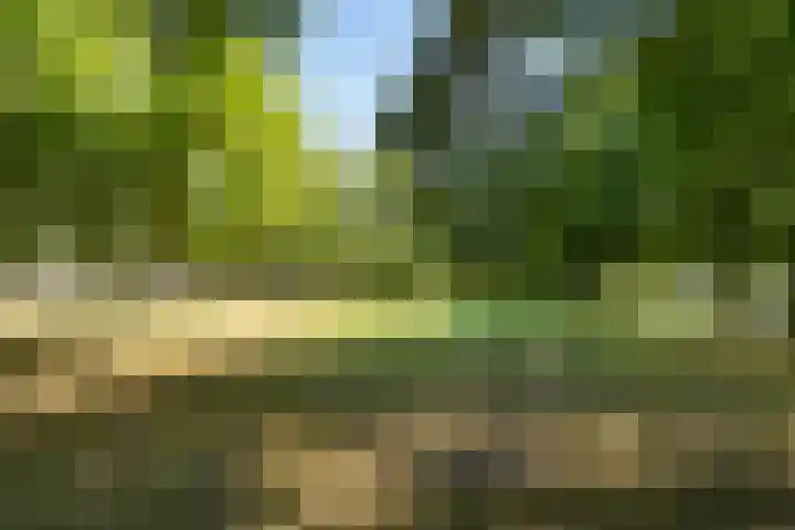 Einsteindreef 73 Utrecht thumbnail 40