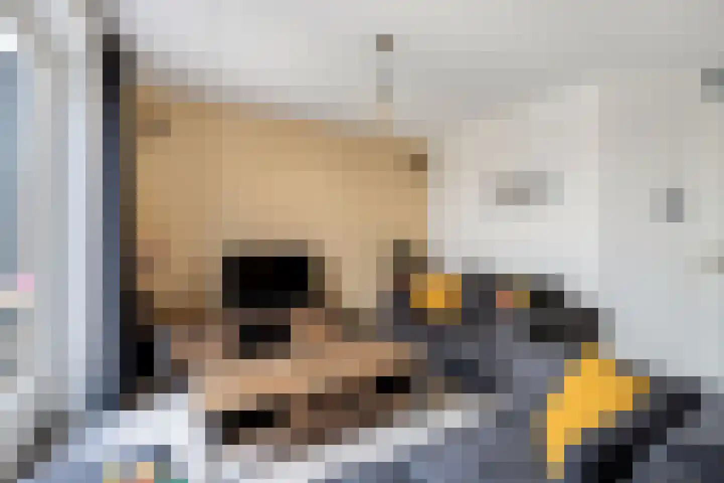 Einsteinhage 33 Emmeloord thumbnail 16