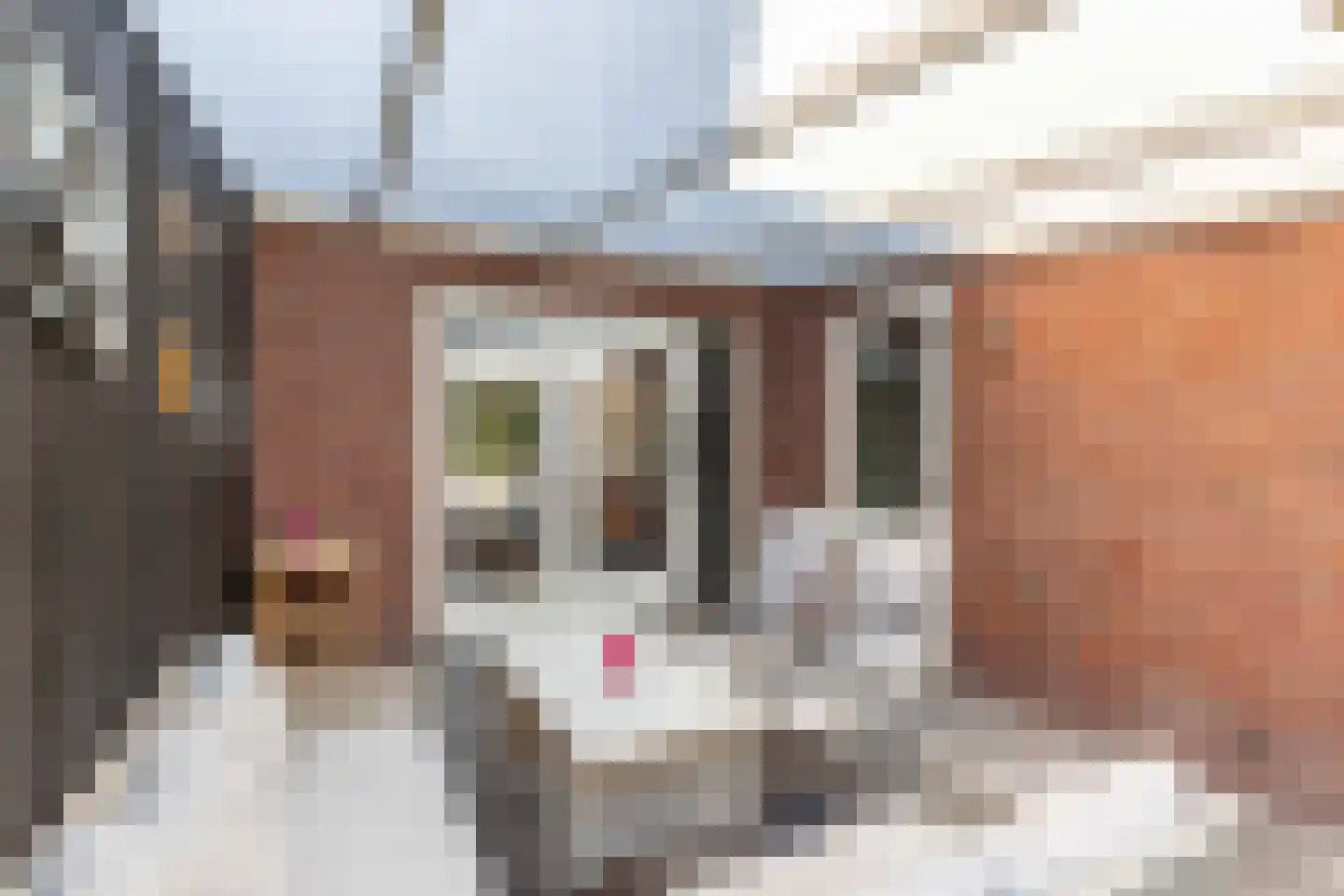 Einsteinhage 33 Emmeloord thumbnail 37