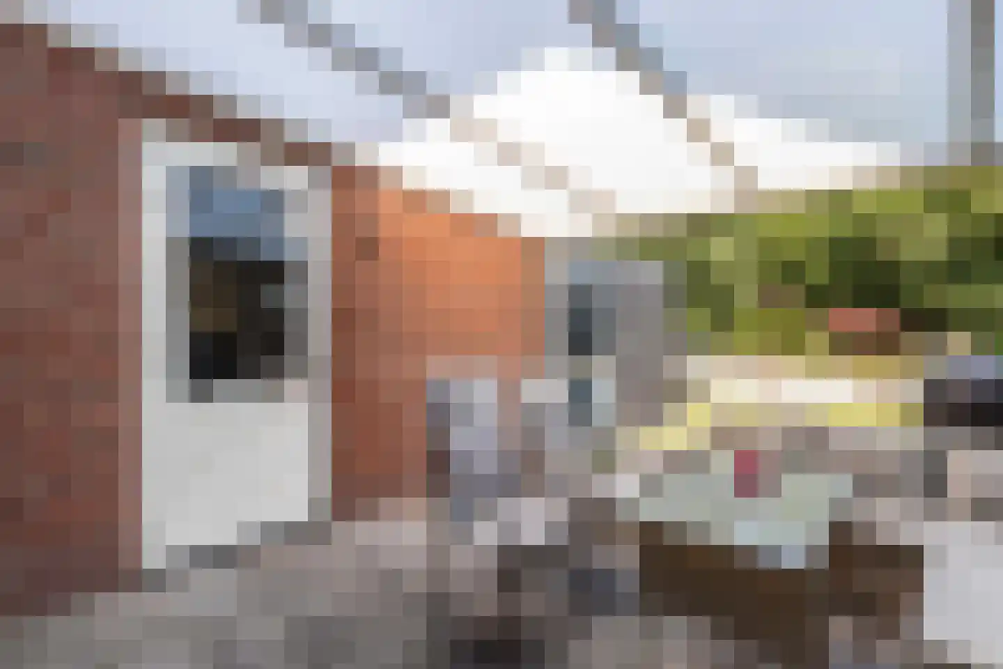 Einsteinhage 33 Emmeloord thumbnail 38