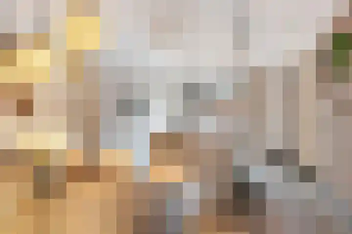 Einsteinhage 7 Emmeloord thumbnail 10