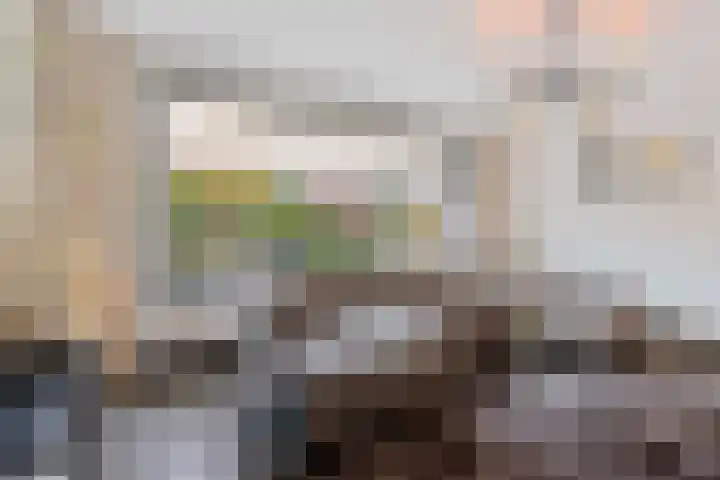 Einsteinhage 7 Emmeloord thumbnail 11