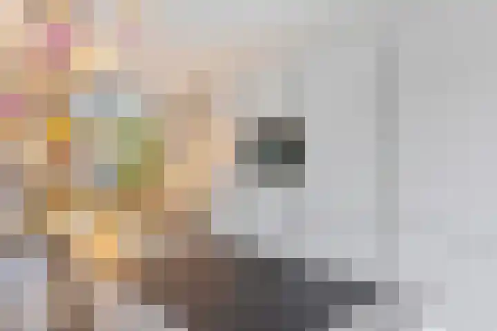 Einsteinhage 7 Emmeloord thumbnail 13