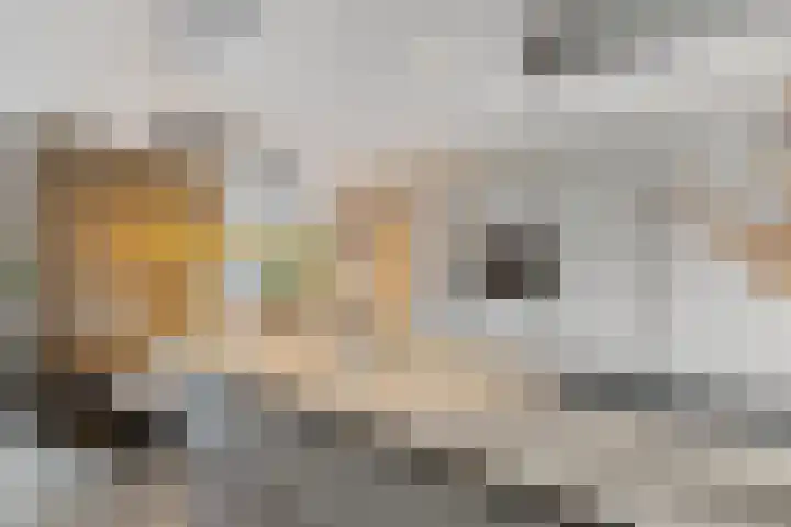 Einsteinhage 7 Emmeloord thumbnail 14