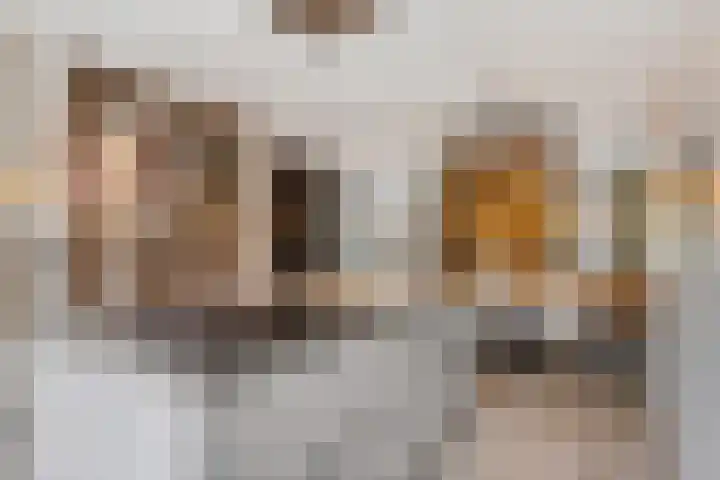 Einsteinhage 7 Emmeloord thumbnail 15