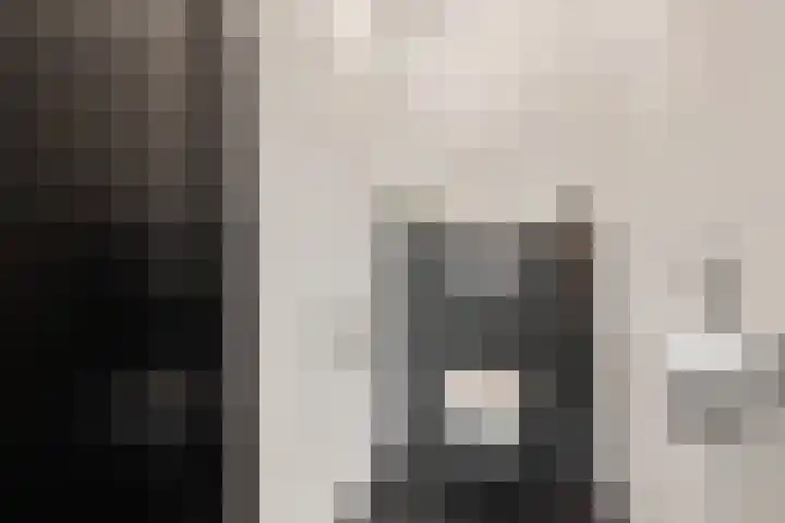 Einsteinhage 7 Emmeloord thumbnail 6