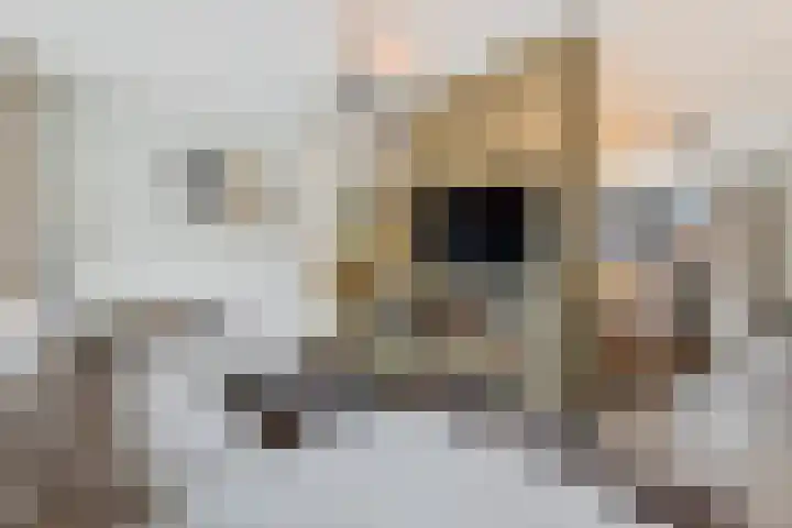 Einsteinhage 7 Emmeloord thumbnail 7