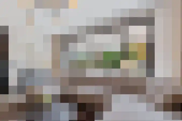 Einsteinhage 7 Emmeloord thumbnail 8