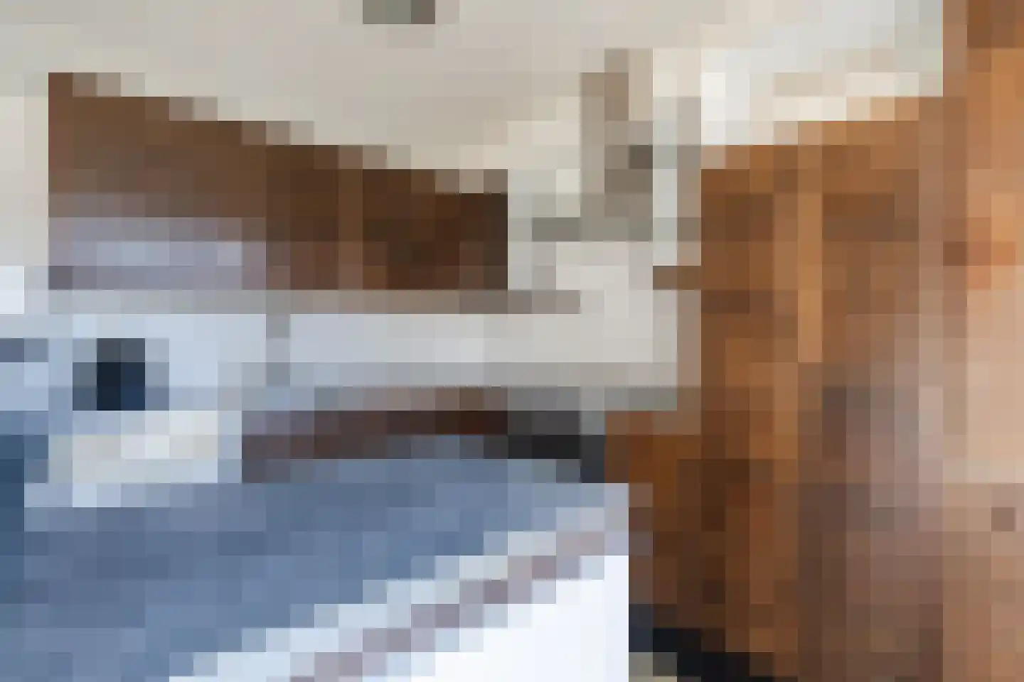 Einsteinlaan 1 Hoogeveen thumbnail 14