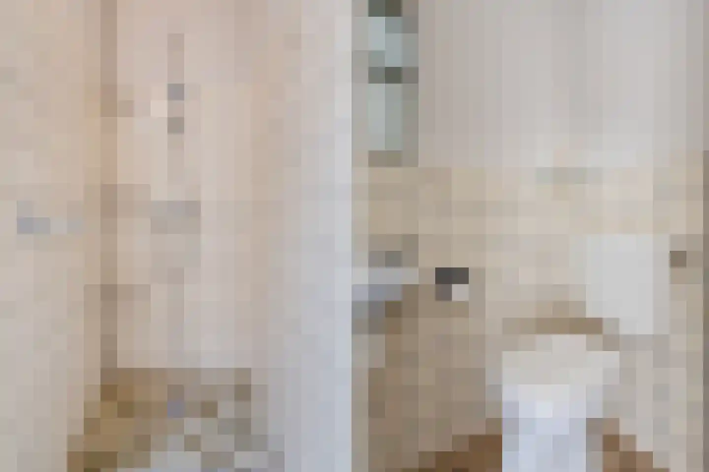 Einsteinlaan 1 Hoogeveen thumbnail 30