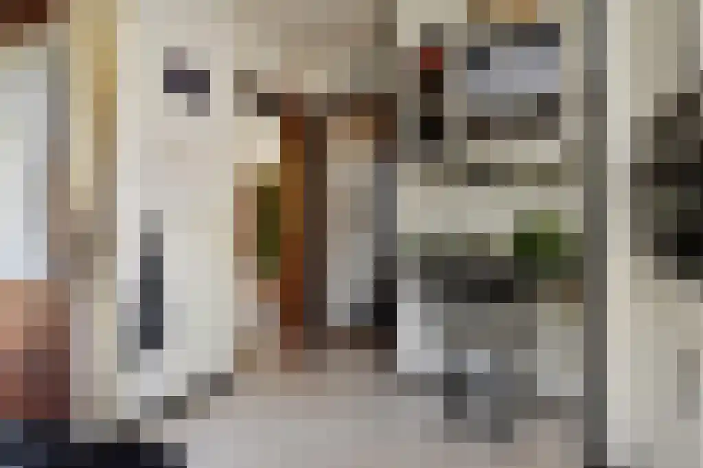 Einsteinlaan 1 Pijnacker thumbnail 17