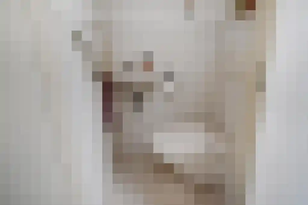 Einsteinlaan 1 Pijnacker thumbnail 19