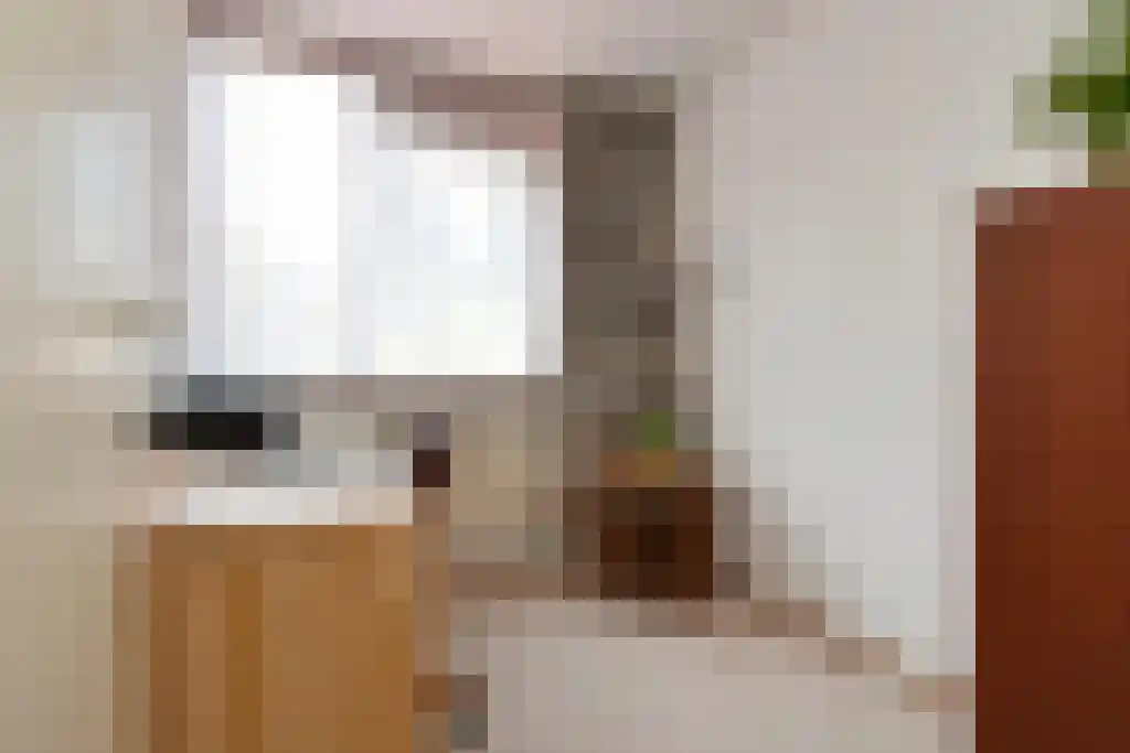 Einsteinlaan 1 Pijnacker thumbnail 23