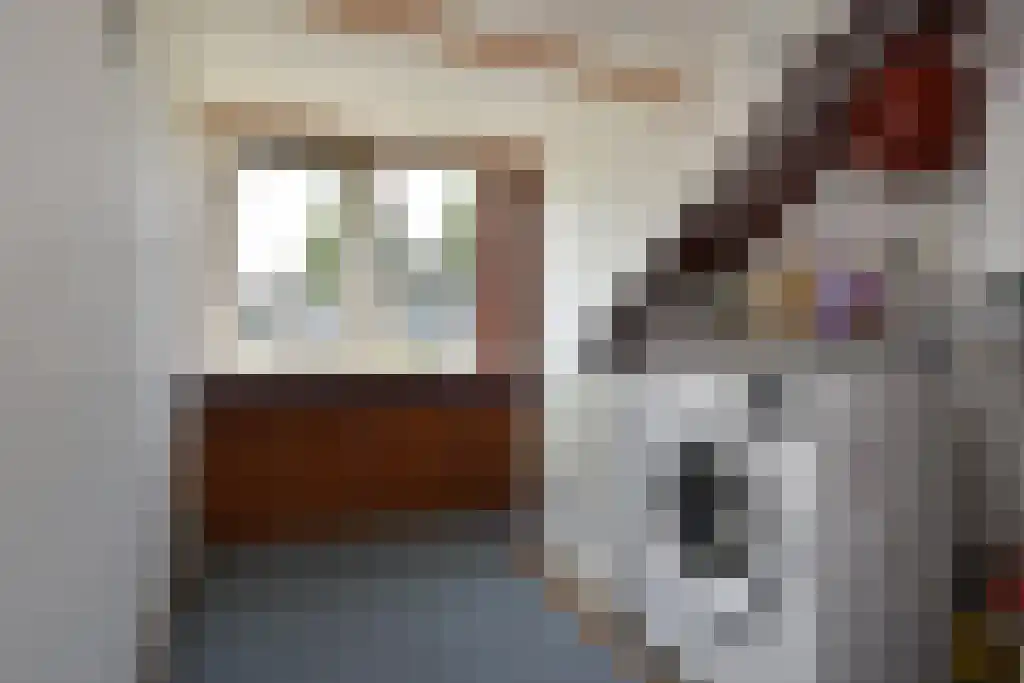 Einsteinlaan 1 Pijnacker thumbnail 25