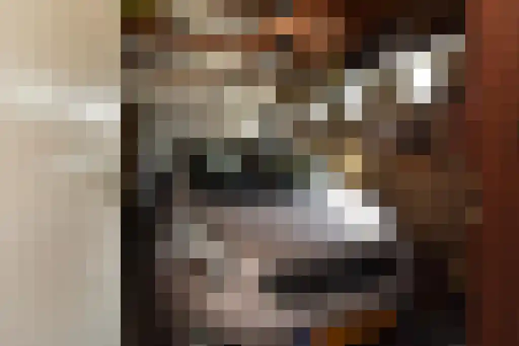 Einsteinlaan 1 Pijnacker thumbnail 28