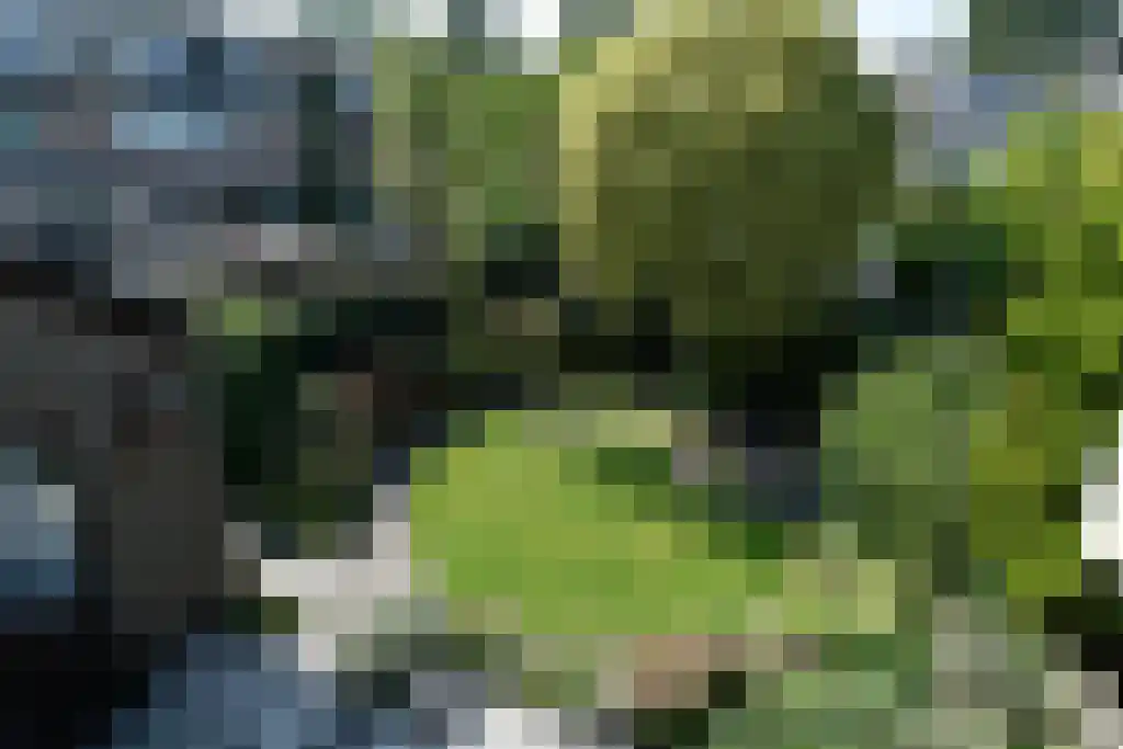 Einsteinlaan 1 Pijnacker thumbnail 32