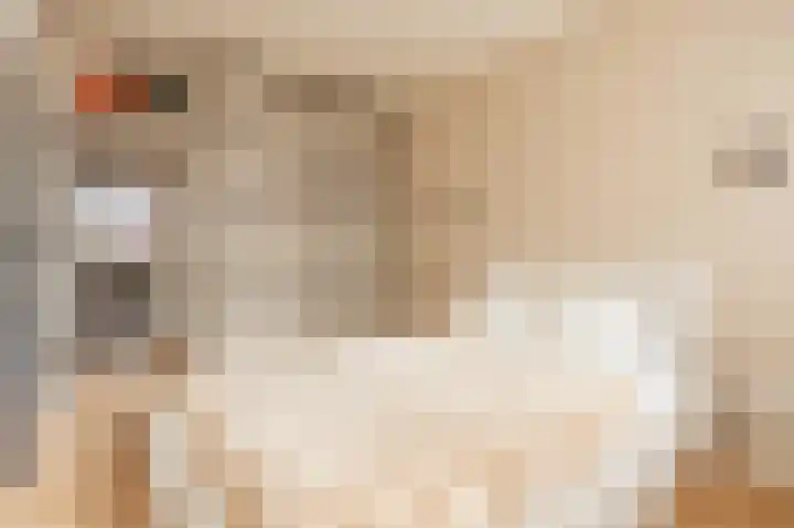 Einsteinlaan 101 Badhoevedorp thumbnail 19