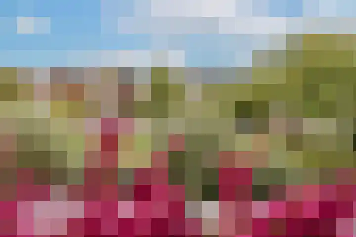 Einsteinlaan 101 Badhoevedorp thumbnail 27