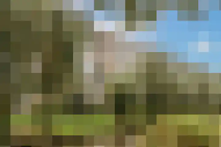 Einsteinlaan 101 Badhoevedorp thumbnail 32