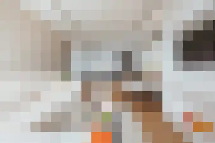 Einsteinlaan 101 Badhoevedorp thumbnail 7