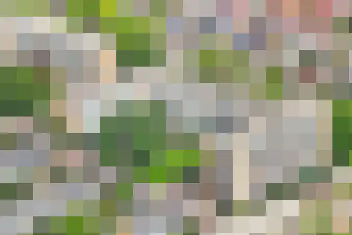 Einsteinlaan 107 Badhoevedorp thumbnail 31